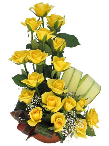 Dise�o en Rosas Ecuatorianas